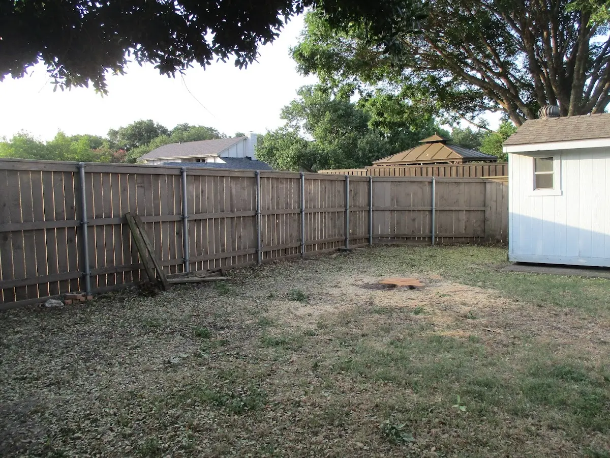 Cleared yard after professional tree removal in Mine Hill